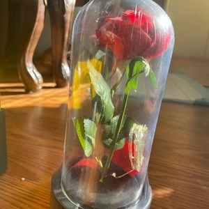 Flower that lights up BRAND NEW